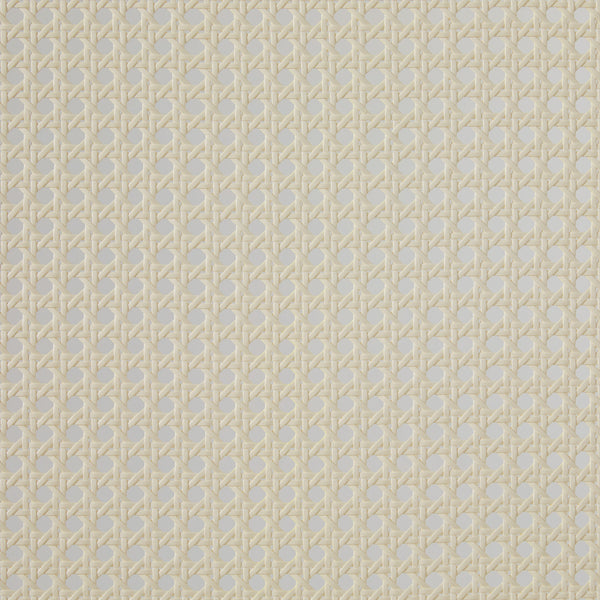 Queen Platform Bed with Rattan Headboard Insert Black NRUB5CBL Walker Edison