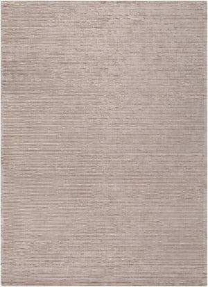 Surya Graphite 2' X 3' Handmade Area Rug - Luxurious Viscose With Modern High/Low Texture For Elegant Spaces Beige Viscose Gph50-23