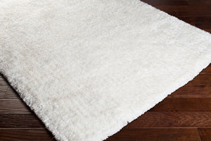 Surya Grizzly 2' X 3' Handwoven Area Rug - Stylish, Plush Polyester Textiles For Modern Home Décor White Polyester Grizzly9-23