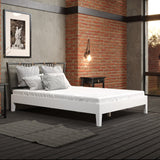 English Elm Steve Silver - Nix - Full Platform Bed - White