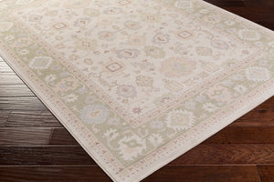 Livabliss Garnett Traditional Polypropylene Low Pile Accent Rug Turkish Woven Entryway Piece GTT3003-223