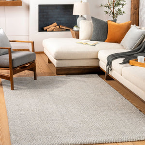 Livabliss Gavic High Pile Accent Rug Soft Polypropylene Blend for Modern Minimalist Spaces Light Slate, Li 2' x 2'11" GVC2300-23