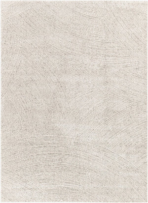 Livabliss Gavic High Pile Turkish Accent Rug Soft Polypropylene Blend for Modern Interiors Cream, Light Be 5'3" x 7'3" GVC2307-5373