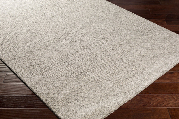 Livabliss Gavic High Pile Turkish Accent Rug Soft Polypropylene Blend for Modern Interiors Cream, Light Be 5'3" x 7'3" GVC2307-5373