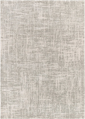 Livabliss Gavic Plush High Pile Polypropylene Area Rug Turkish Woven Modern Transitional Accent Cream, Light Be 2' x 2'11" GVC2308-23