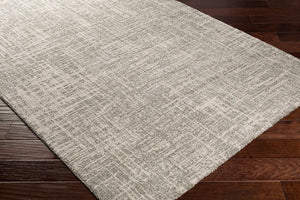 Livabliss Gavic Plush High Pile Polypropylene Area Rug Turkish Woven Modern Transitional Accent Cream, Light Be 2' x 2'11" GVC2308-23