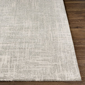 Livabliss Gavic Plush High Pile Polypropylene Area Rug Turkish Woven Modern Transitional Accent Cream, Light Be 2' x 2'11" GVC2308-23