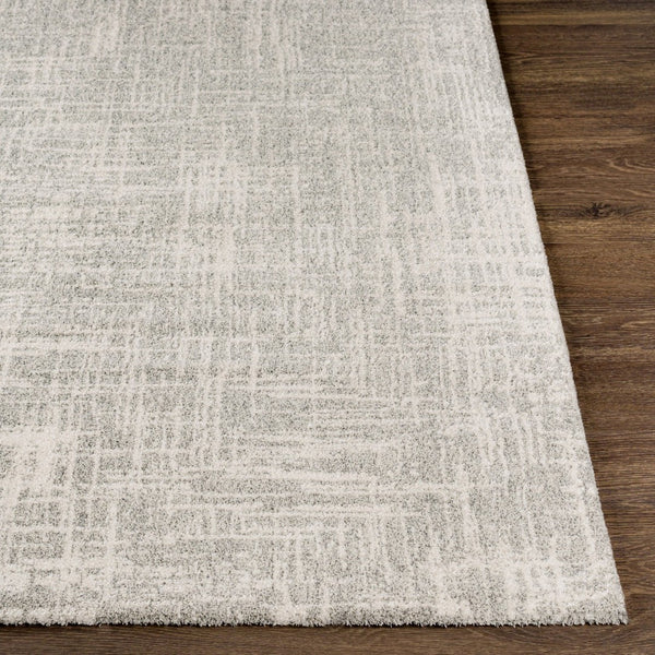 Livabliss Gavic Plush High Pile Polypropylene Area Rug Turkish Woven Modern Transitional Accent Cream, Light Be 2' x 2'11" GVC2308-23