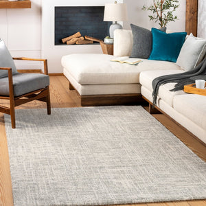 Livabliss Gavic Plush High Pile Polypropylene Area Rug Turkish Woven Modern Transitional Accent Cream, Light Be 2' x 2'11" GVC2308-23
