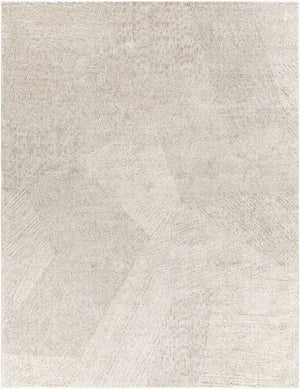 Livabliss Gavic Plush High Pile Accent Rug Turkish Woven Polypropylene Blend for Entryways Cream, Light Be 7'10" x 10' GVC2310-71010
