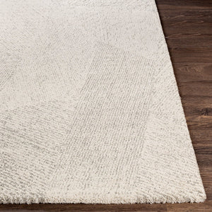 Livabliss Gavic Plush High Pile Accent Rug Turkish Woven Polypropylene Blend for Entryways Cream, Light Be 4'3" x 5'11" GVC2310-43511