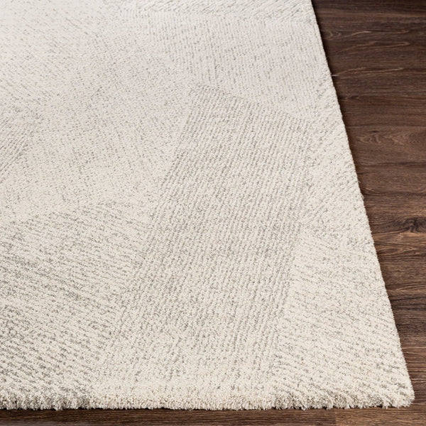 Livabliss Gavic Plush High Pile Accent Rug Turkish Woven Polypropylene Blend for Entryways Cream, Light Be 4'3" x 5'11" GVC2310-43511