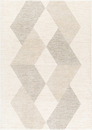 Livabliss Gavic High Pile Polypropylene Rug Machine Woven in Turkey for Modern Entryways Light Beige, Iv 8'10" x 12' GVC2317-912
