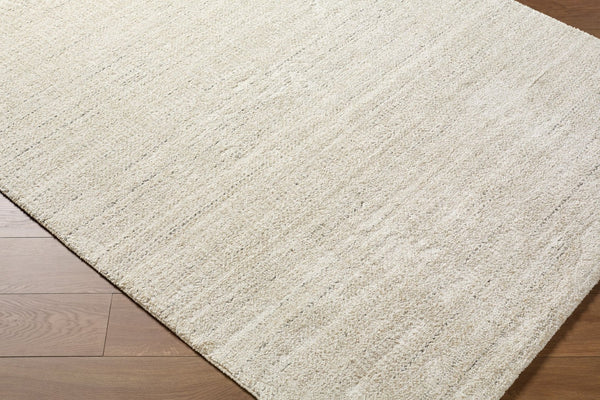 Livabliss Gavic High Pile Accent Rug Soft Polypropylene Blend for Entryway or Bedside White, Light Be 2' x 2'11" GVC2327-23
