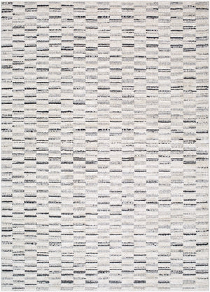 Livabliss Gavic Plush High Pile Accent Rug Soft Synthetic Fibers Turkey Woven Entryway Bedside Cream, Light Sl 8'10" x 12' GVC2329-912