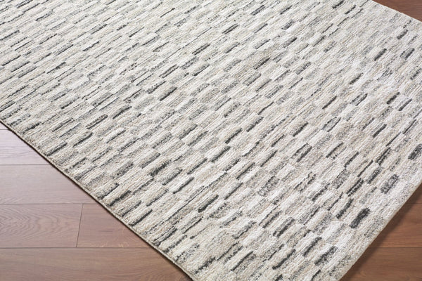 Livabliss Gavic Plush High Pile Accent Rug Soft Synthetic Fibers Turkey Woven Entryway Bedside Cream, Light Sl 8'10" x 12' GVC2329-912