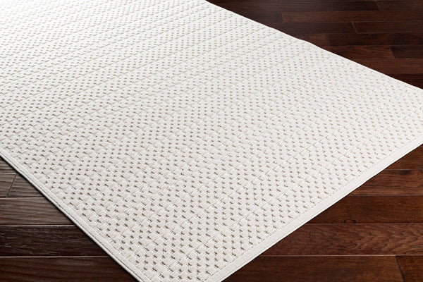 Livabliss Greenwich Minimalist Polypropylene Area Rug Machine Woven for Indoor Outdoor Living Spaces GWC2301-5373