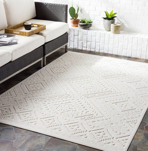 Livabliss Greenwich Global Pattern Polypropylene Rug with High Low Texture for Indoor Outdoor Use Beige 7'9" x 10' GWC2304-71010