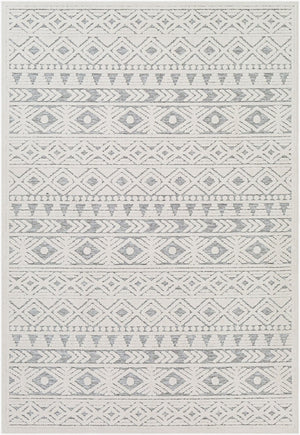 Livabliss Greenwich Global Pattern Polypropylene Indoor Outdoor Rug for Entryways and Patios GWC2306-2211