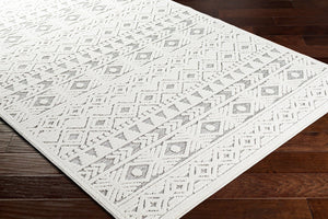 Livabliss Greenwich Global Pattern Polypropylene Indoor Outdoor Rug for Entryways and Patios GWC2306-2211