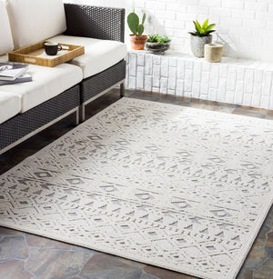 Livabliss Greenwich Global Pattern Polypropylene Indoor Outdoor Rug for Entryways and Patios GWC2306-2211