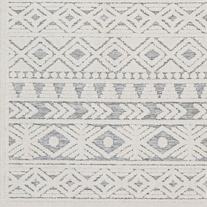 Livabliss Greenwich Global Pattern Polypropylene Indoor Outdoor Rug for Entryways and Patios GWC2306-2211