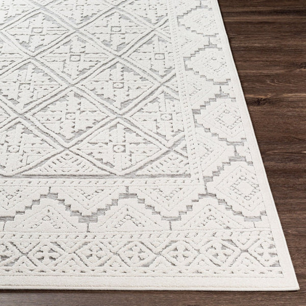 Livabliss Greenwich Turkish Polypropylene Woven Rug Bohemian Global Pattern for Entryway Kitchen GWC2308-2211