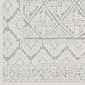 Livabliss Greenwich Turkish Polypropylene Woven Rug Bohemian Global Pattern for Entryway Kitchen GWC2308-2211