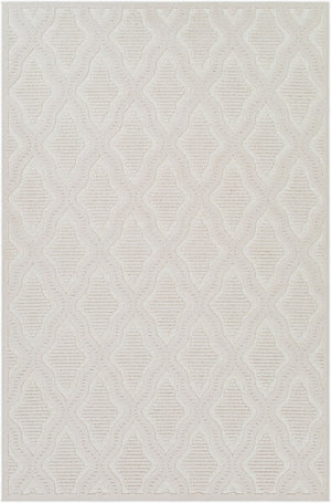 Livabliss Greenwich Traditional Polypropylene Accent Rug Machine Woven for Entryway or Bedside GWC2311-2211