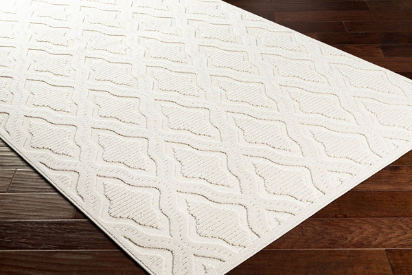 Livabliss Greenwich Traditional Polypropylene Accent Rug Machine Woven for Entryway or Bedside GWC2311-2211