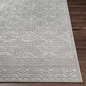 Livabliss Greenwich Machine Woven Polypropylene Rug Low Pile Entryway and Kitchen Runner GWC2314-2211