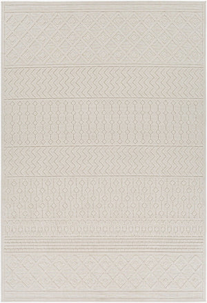 Livabliss Greenwich Bohemian Global Machine Woven Polypropylene Accent Rug for Entryways GWC2317-2211