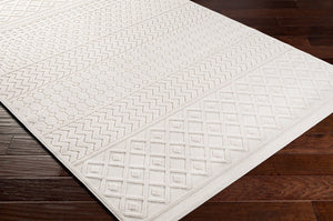 Livabliss Greenwich Bohemian Global Machine Woven Polypropylene Accent Rug for Entryways GWC2317-2211