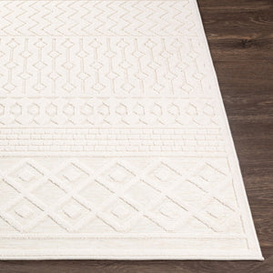 Livabliss Greenwich Bohemian Global Machine Woven Polypropylene Accent Rug for Entryways GWC2317-2211