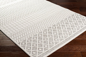 Livabliss Greenwich Global Motif Machine Woven Polypropylene Accent Rug for Entryways and Bedside GWC2318-2211