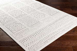 Livabliss Greenwich Geometric Polypropylene Woven Rug for Entryways Patios and Accent Spaces GWC2320-2211