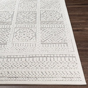 Livabliss Greenwich Geometric Polypropylene Woven Rug for Entryways Patios and Accent Spaces GWC2320-2211