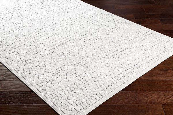 Livabliss Greenwich Bohemian Global Machine Woven Polypropylene Low Pile Accent Rug for Entryways GWC2321-2211