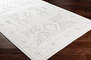 Livabliss Greenwich Global Patterned Polypropylene Accent Rug for Entryways and Layered Decor GWC2322-2211