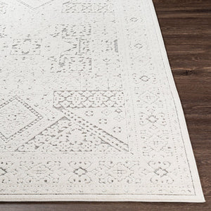 Livabliss Greenwich Global Patterned Polypropylene Accent Rug for Entryways and Layered Decor GWC2322-2211