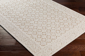 Livabliss Greenwich Flatweave Polypropylene Accent Rug Turkish Woven Global Pattern Entryway GWC2325-2211