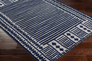 Livabliss Greenwich Bohemian Global Low Pile Polypropylene Area Rug for Living and Dining Rooms GWC2332-679