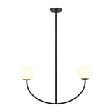 Doby 30'' Wide 2-Light Pendant - Matte Black H0018-10372 Elk Home