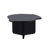 Hana Coffee Table - Black H0805-11455 Elk Home