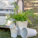 Potted Hanging Fern, Large EBQ26092 Park Hill