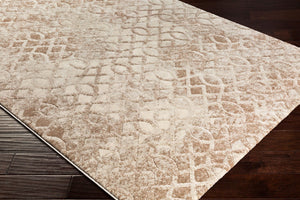 Livabliss Cash Machine Woven Polypropylene Accent Rug for Entryway Bedside or Small Seating Area HAC2306-23