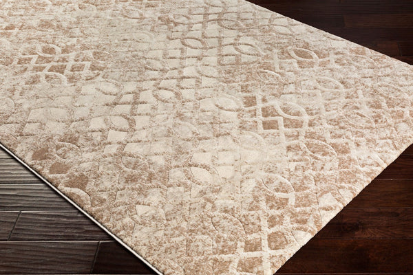 Livabliss Cash Machine Woven Polypropylene Accent Rug for Entryway Bedside or Small Seating Area HAC2306-23