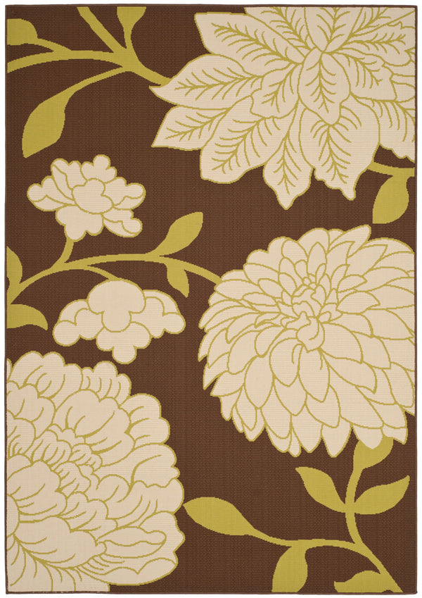 Safavieh Hampton 552 Power Loomed Rug Brown / Ivory 4' x 6'