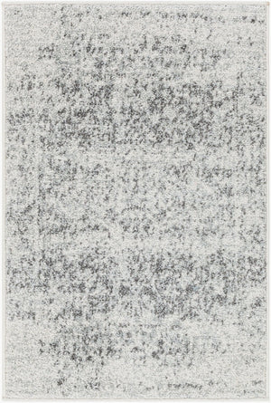 Livabliss Harput Medallion Polypropylene Area Rug Machine Woven in Turkey for Large Living Spaces Charcoal, Mediu 2' x 2'11" HAP1024-23