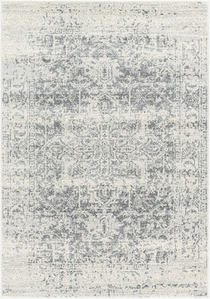 Livabliss Harput Medallion Polypropylene Area Rug Machine Woven in Turkey for Large Living Spaces Charcoal, Mediu 3'11" x 5'7" HAP1024-31157